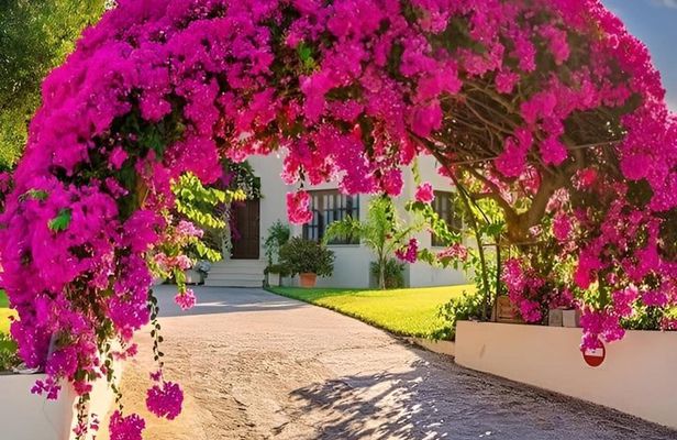 Best Olympia Tour for Cruise Passengers from Katakolon Port