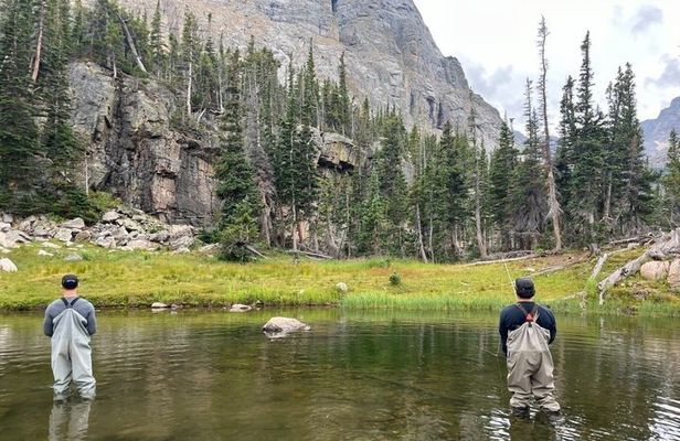4 Hour Guided Fly Fishing Trip in Rocky Mountain National Park