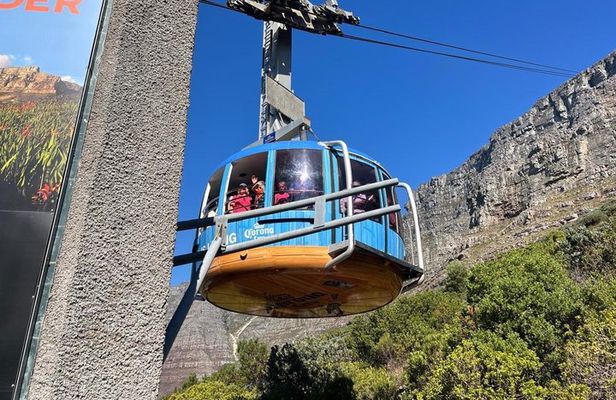 Half-Day Cape Town City Tour and Table Mountain Cable Car