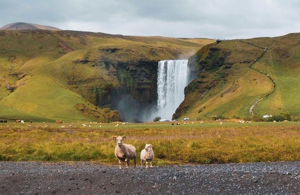 Reykjavik: Private South Coast Waterfalls, Beach and Glacier Tour