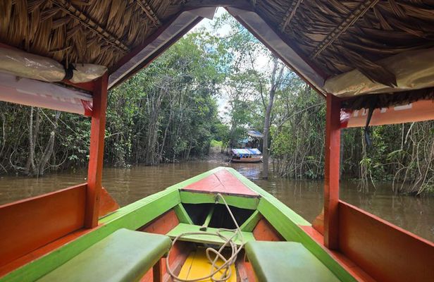 Cultural Excursion Through the Amazon w/ English Speaking Guide