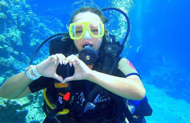 Tiran Island Boat Trip Snorkeling and Lunch Included