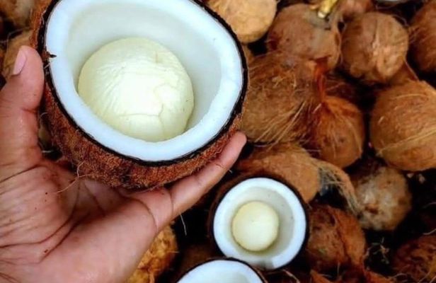 Stone Town and Spice Farm Cultural Tour