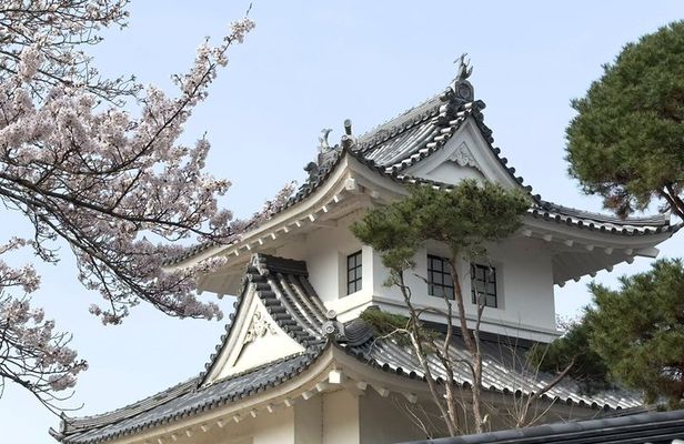 Kyoto Satoyama Cycling with Lunch and English Guide