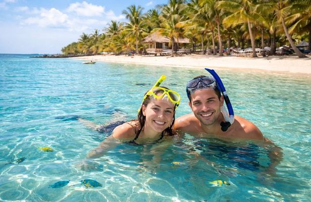 Roatán Private Tour: Sloths, Beach, Rum Tasting & Chocolate