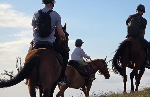 Private Sunrise Horseback Ride – First Light Experience