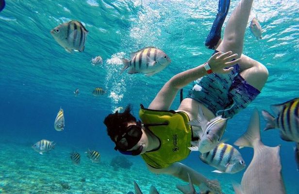 Snorkeling by the Arch with Personalized Guide
