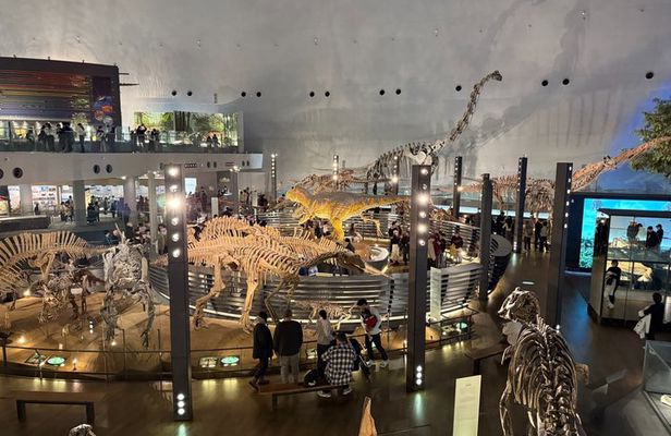 Kanazawa : World-Class Fukui Dinosaur Museum Small Group Tour