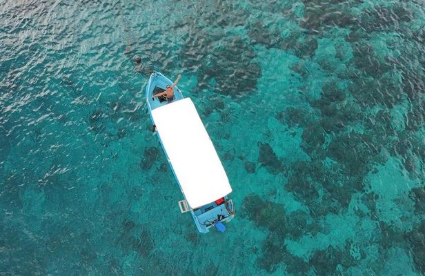 Private Gili Snorkelling Tour: Turtles & Reefs + GoPro + Drinks