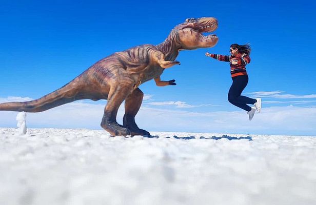 3 Day Shared Tour from San Pedro de Atacama to Uyuni