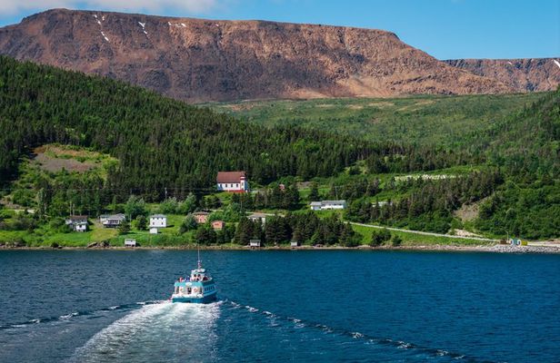 Tablelands Bonne Bay Catamaran Tour