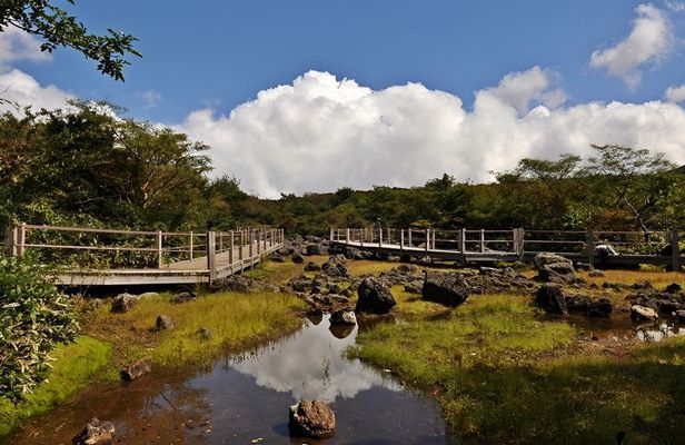 Jeju WestSouth One Day Authentic Tour with MT.Halla & UNESCO
