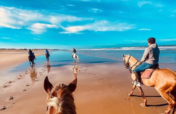 Agadir: Horseback Riding Beach Experience with Hotel pick-up