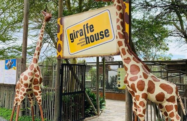 Wine and Big Cat Sanctuary Tour