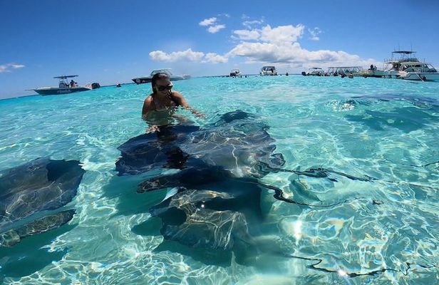 Private Grand Cayman Boat Charters Stingray City and Snorkeling