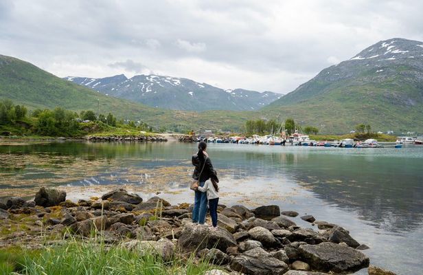 Tromsø Short Fjords Tour - Shore Ex