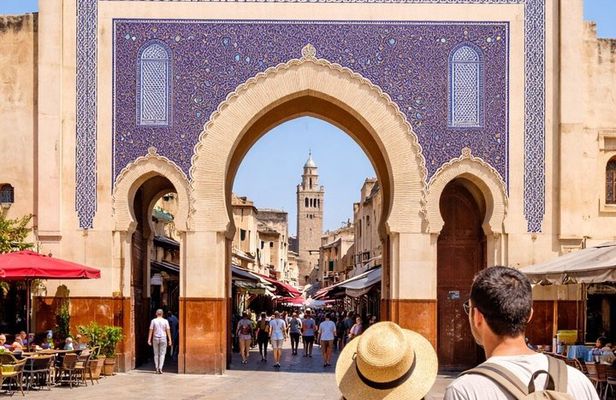 Private Fes Panoramic Tour by Car: Royal Palace, Tanneries