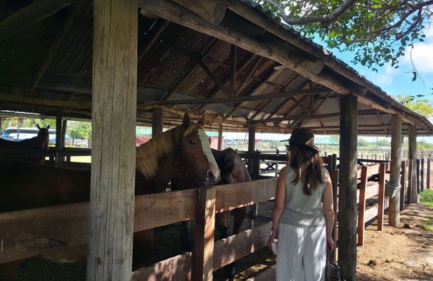 Gaucho Tour in Estancia Santa Susana from Buenos Aires