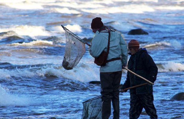 Private Tour: Amber Hunting in Curonian Spit from Klaipeda