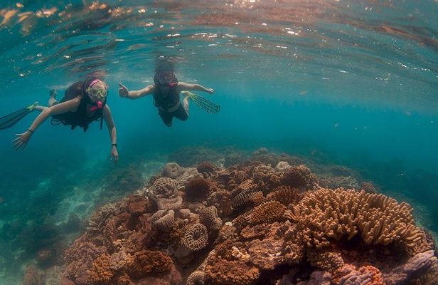Hol Chan Catamaran Tour with Snorkel Sharks and Caye Caulker