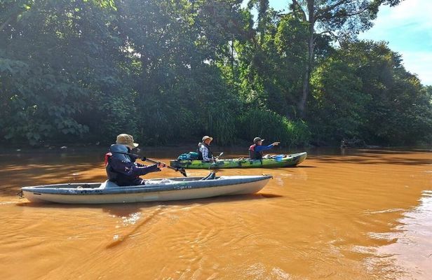 Mangrove Kayak - near Sámara & Carrillo Beach