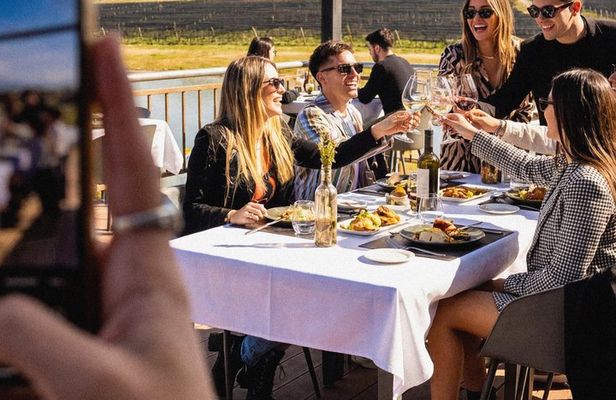 Private Uco Valley Wine Tour: 3 Wineries, Malbec Tasting &Transfer