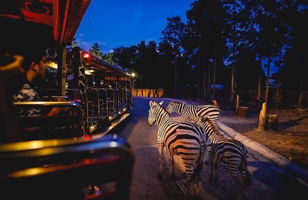 Singapore Night Safari with Tram Ride and Hotel Transfers