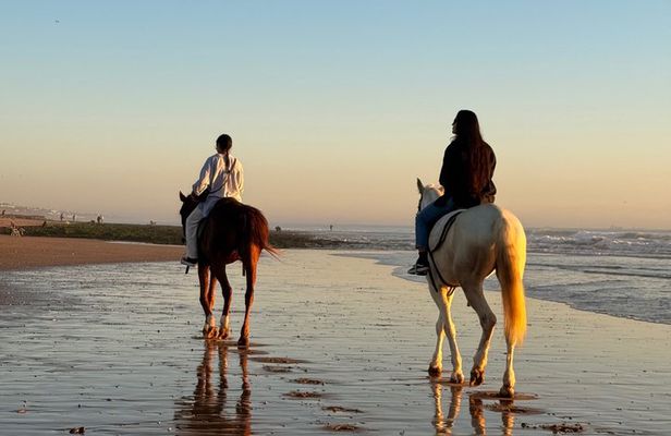 Sunset Half Day Horse Riding Experience in Agadir and Taghazout