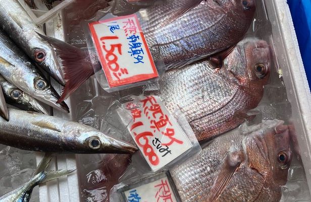 Tokyo: Tsukiji Fish Market Tour & Sushi Making with Tuna Tasting