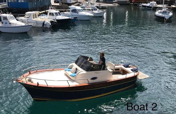 Panoramic Boat Tour on Lake Iseo