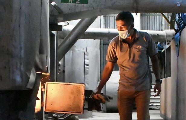 Coffee Tour - near Sámara & Carrillo Beach