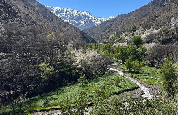 Marrakech: High Atlas Mountains, Imlil Valley & Waterfalls Hike