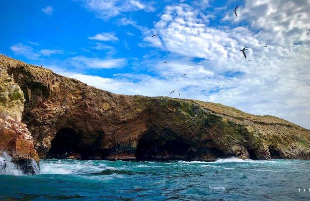 Ballestas Islands Tour from Huacachina or Ica – Round Trip