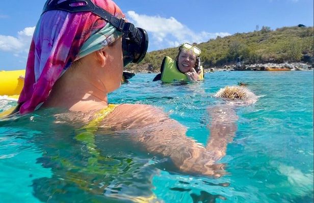 Half Day Luxury Catamaran Sail And Turtle Snorkel