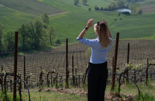 Parmigiano Reggiano Vinegar of Modena tour and lunch in the hills