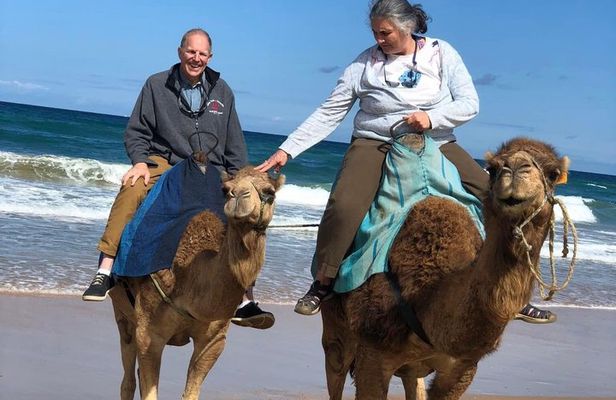 Tangier 4h Private Highlights Tour & Camel Ride Experience