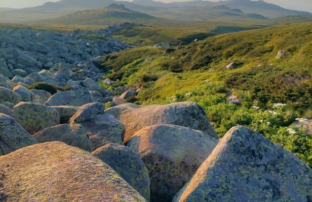 Sofia from above: Vitosha Mountain Nature Hike with Private Guide