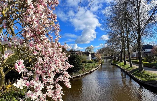 Zaanse Schans and Giethoorn Day Tour with Lunch and Boat Cruise
