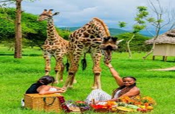 Full Day Wildlife Adventure at JKT Ruvu Camp from Dar es Salaam