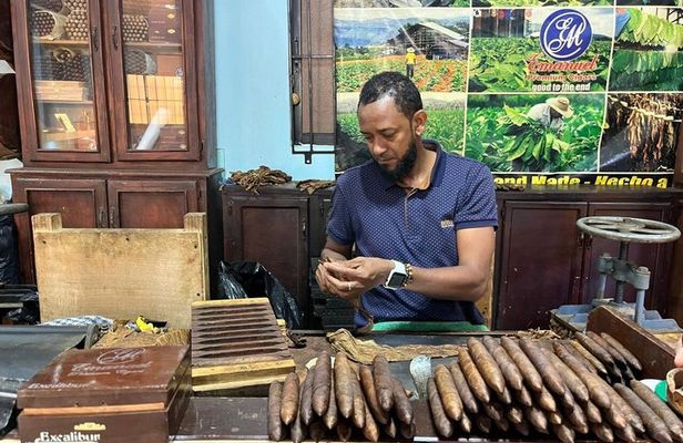 Puerto Plata Rum and Cigar Experience for Adults Only