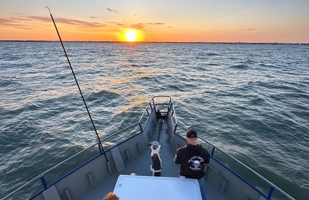 Ocean Sunset Dolphin & Sealife Cruise in Murrells Inlet