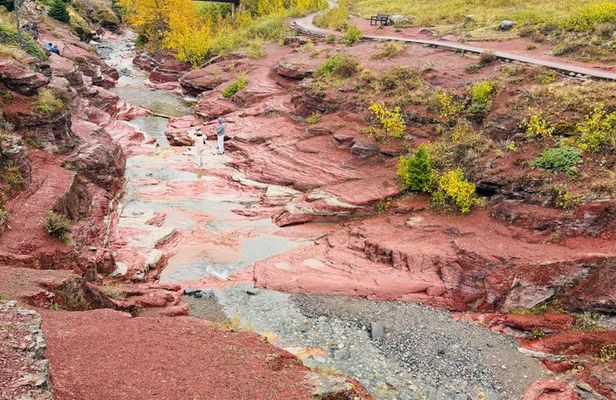 Waterton National Park Scenic Day Tour from Calgary
