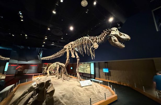 Drumheller & Hoodoos Private Luxury guided Day Tour from Calgary