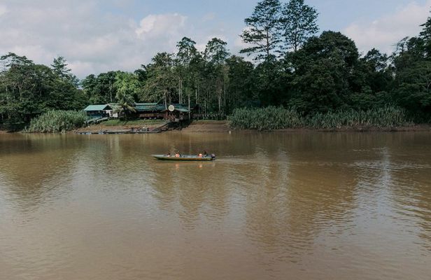 Sandakan: 4D3N Kinabatangan, Forest, Sepilok and Cave