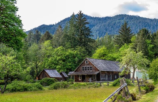 Lake Quinault Rainforest Tour Nature and Wildlife Adventure