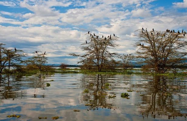Nairobi Private Lake Naivasha Hells Gate Tour