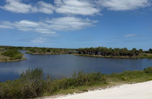 Robinson Preserve 2 Hour Guided Kayak Tour