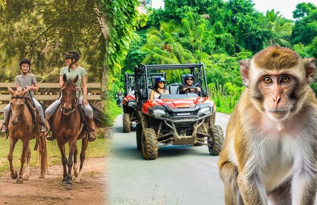 Visit to a local Ranch Plantation with Monkeys Horseback & Buggy