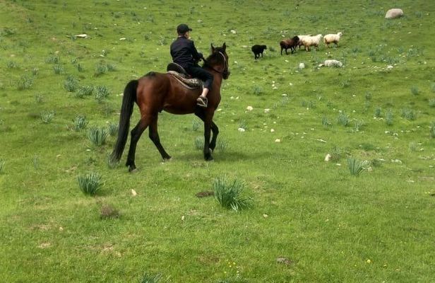 Samarkand Horseback Riding Tour with Pickup and Drop off