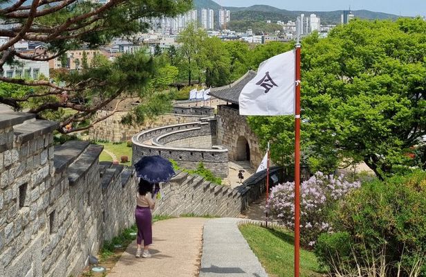 Escape Seoul for a Day: Private UNESCO Fortress Tour in Suwon
